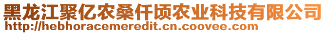 黑龍江聚億農(nóng)桑仟頃農(nóng)業(yè)科技有限公司