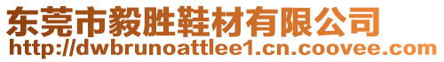 東莞市毅勝鞋材有限公司