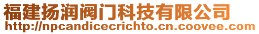 福建揚(yáng)潤閥門科技有限公司