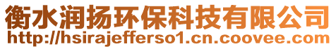 衡水潤(rùn)揚(yáng)環(huán)?？萍加邢薰? style=