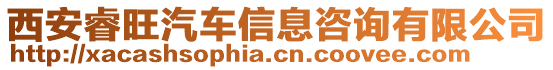 西安睿旺汽車信息咨詢有限公司