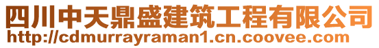 四川中天鼎盛建筑工程有限公司