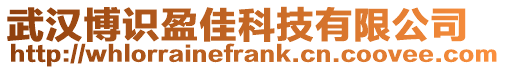 武漢博識盈佳科技有限公司