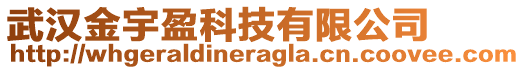 武漢金宇盈科技有限公司