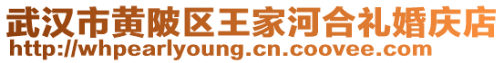 武漢市黃陂區王家河合禮婚慶店