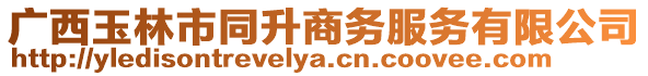 廣西玉林市同升商務(wù)服務(wù)有限公司