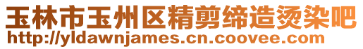 玉林市玉州區精剪締造燙染吧