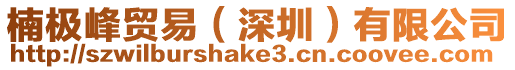 楠極峰貿(mào)易(深圳)有限公司