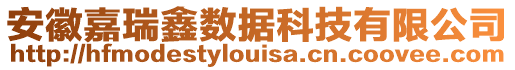 安徽嘉瑞鑫數(shù)據(jù)科技有限公司