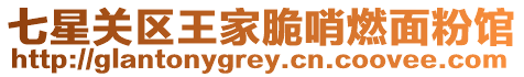 七星關(guān)區(qū)王家脆哨燃面粉館