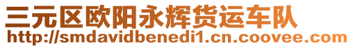 三元區(qū)歐陽(yáng)永輝貨運(yùn)車隊(duì)