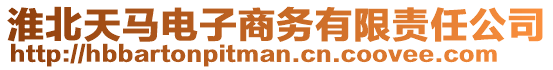 淮北天馬電子商務(wù)有限責(zé)任公司