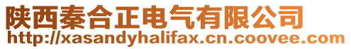 陜西秦合正電氣有限公司