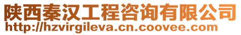 陜西秦漢工程咨詢有限公司