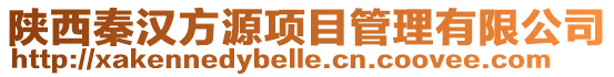 陜西秦漢方源項目管理有限公司