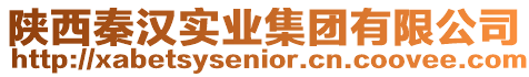 陜西秦漢實業集團有限公司