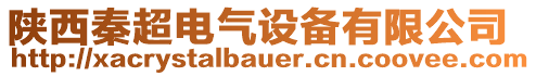 陜西秦超電氣設備有限公司