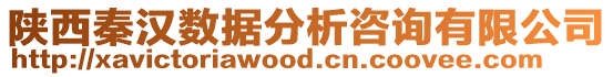 陜西秦漢數據分析咨詢有限公司