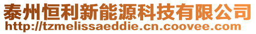 泰州恒利新能源科技有限公司