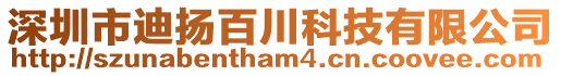 深圳市迪揚百川科技有限公司