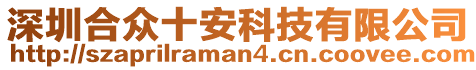 深圳合眾十安科技有限公司