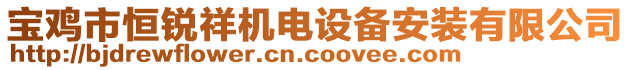 寶雞市恒銳祥機(jī)電設(shè)備安裝有限公司