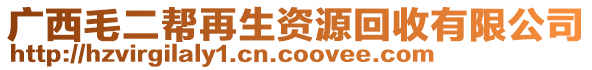 廣西毛二幫再生資源回收有限公司