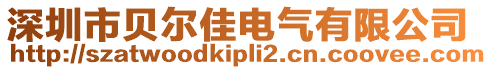 深圳市貝爾佳電氣有限公司