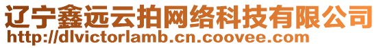 遼寧鑫遠(yuǎn)云拍網(wǎng)絡(luò)科技有限公司