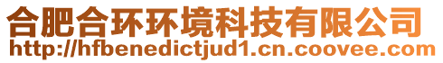 合肥合環(huán)環(huán)境科技有限公司