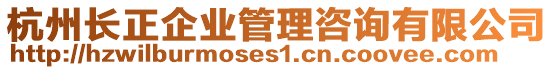 杭州長正企業管理咨詢有限公司
