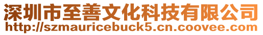深圳市至善文化科技有限公司
