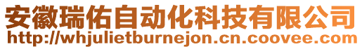 安徽瑞佑自動(dòng)化科技有限公司