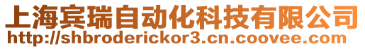 上海賓瑞自動(dòng)化科技有限公司