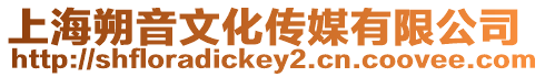 上海朔音文化傳媒有限公司
