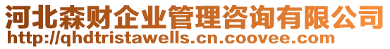 河北森財(cái)企業(yè)管理咨詢有限公司