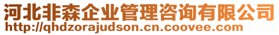 河北非森企業(yè)管理咨詢有限公司