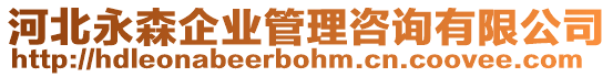 河北永森企業管理咨詢有限公司