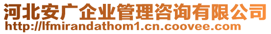 河北安廣企業(yè)管理咨詢(xún)有限公司