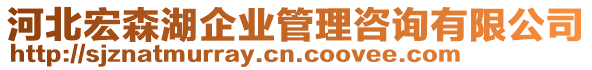河北宏森湖企業管理咨詢有限公司