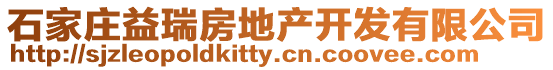 石家莊益瑞房地產開發有限公司
