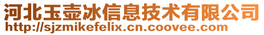 河北玉壺冰信息技術有限公司