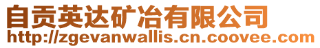 自貢英達礦冶有限公司