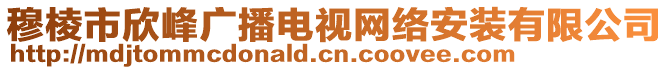 穆棱市欣峰廣播電視網(wǎng)絡(luò)安裝有限公司