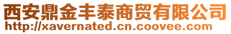西安鼎金豐泰商貿(mào)有限公司