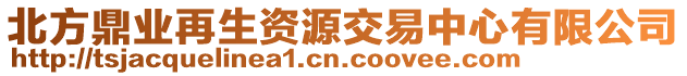 北方鼎業(yè)再生資源交易中心有限公司
