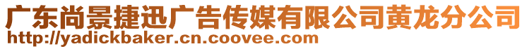 廣東尚景捷迅廣告?zhèn)髅接邢薰军S龍分公司