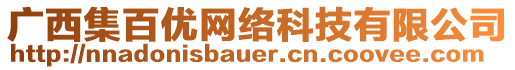 廣西集百優(yōu)網(wǎng)絡(luò)科技有限公司