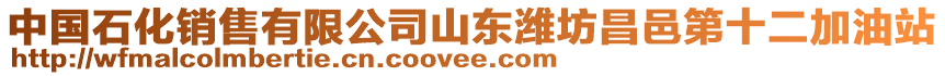 中國(guó)石化銷(xiāo)售有限公司山東濰坊昌邑第十二加油站