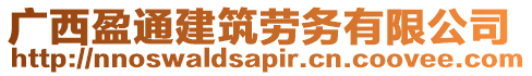 廣西盈通建筑勞務(wù)有限公司